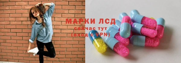 ПСИЛОЦИБИНОВЫЕ ГРИБЫ Заводоуковск