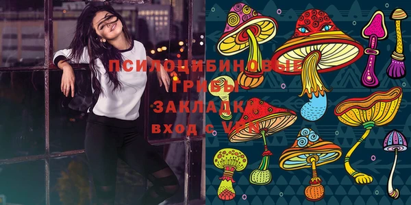 ПСИЛОЦИБИНОВЫЕ ГРИБЫ Заводоуковск