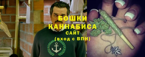 ПСИЛОЦИБИНОВЫЕ ГРИБЫ Заводоуковск